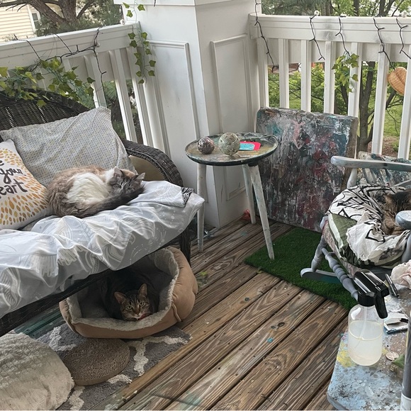 Meet your Posher, Kari - Picture 2 of 6